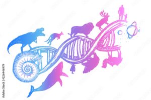 พันธุกรรมของสัตว์