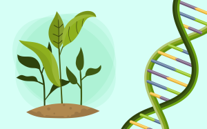 พันธุกรรมพืช