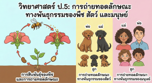 สื่อ การถ่ายทอดลักษณะทางพันธุกรรม